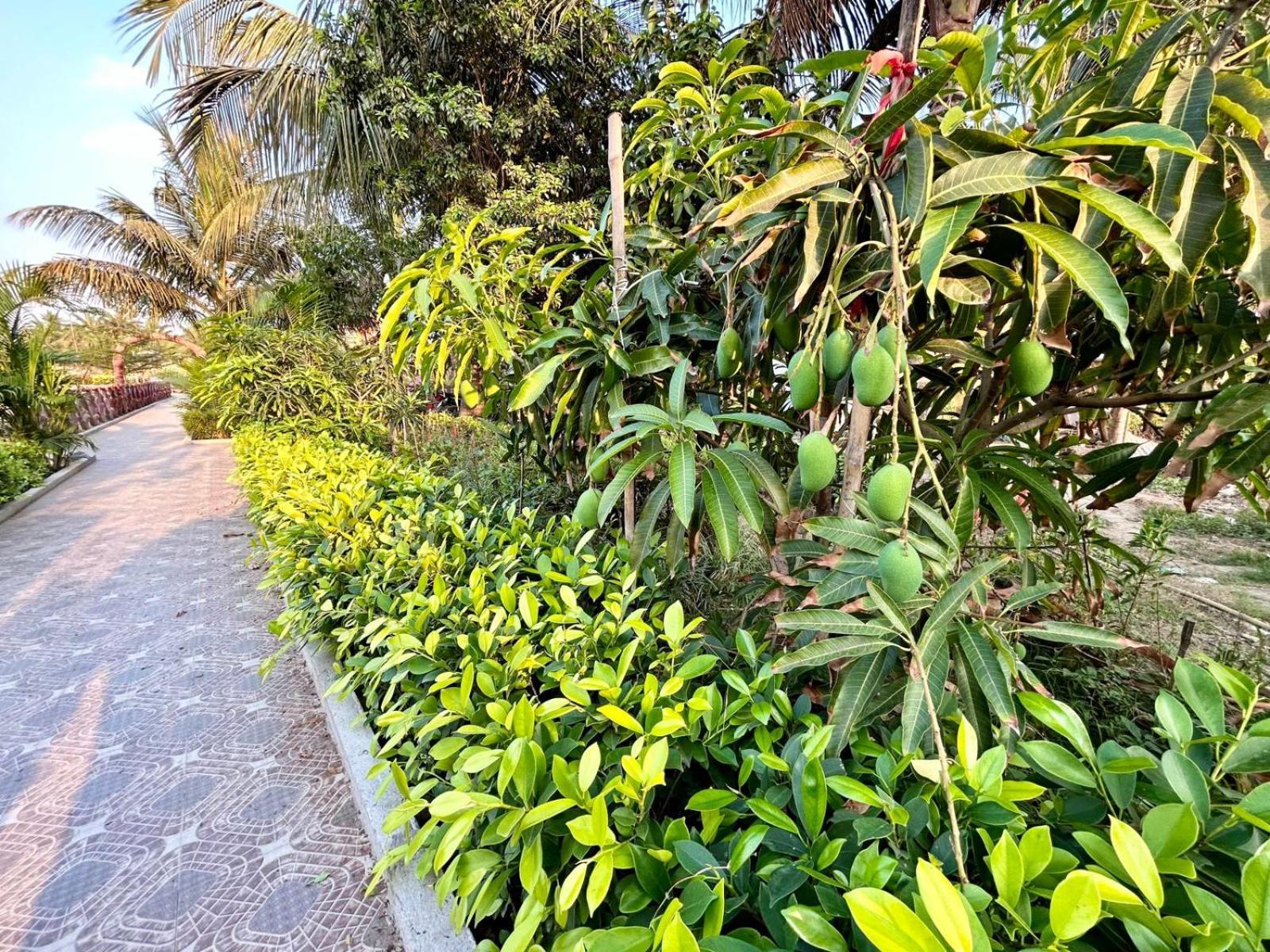 Palli Bangla Resort, Near Ruby Hospital, Anandapur Kalkutta Kültér fotó